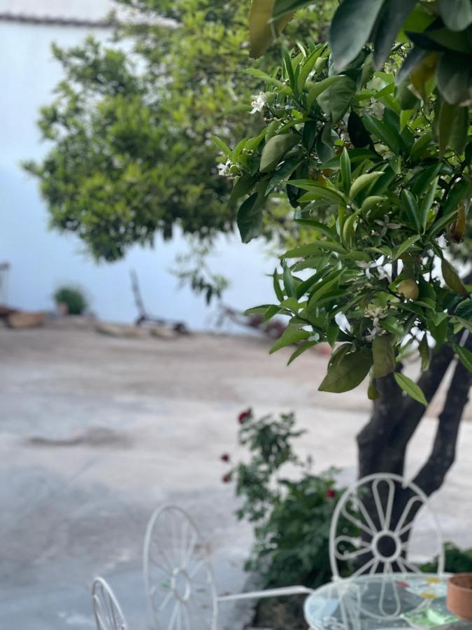 Alanís Casa Muriana מראה חיצוני תמונה